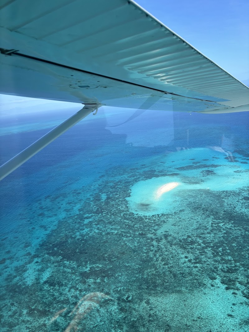 Great Barrier Reef & Green Island Tours