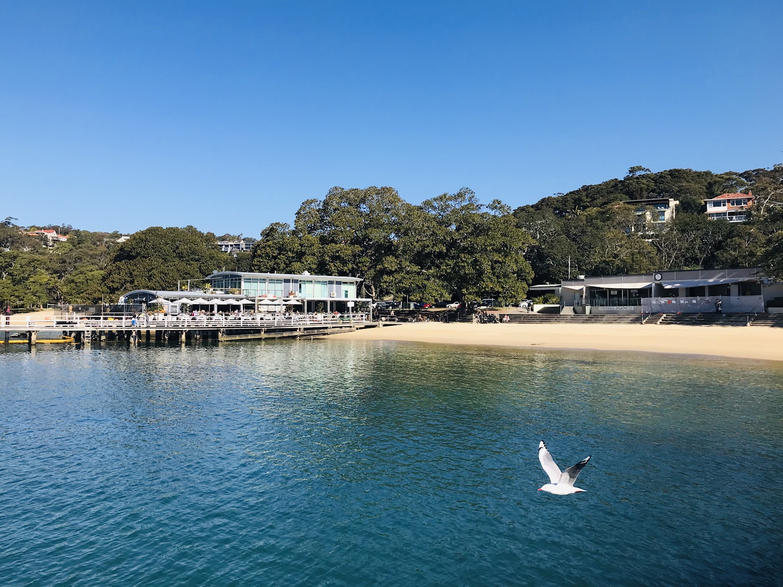 시드니 공항 ↔ 시내 프리미엄 픽업