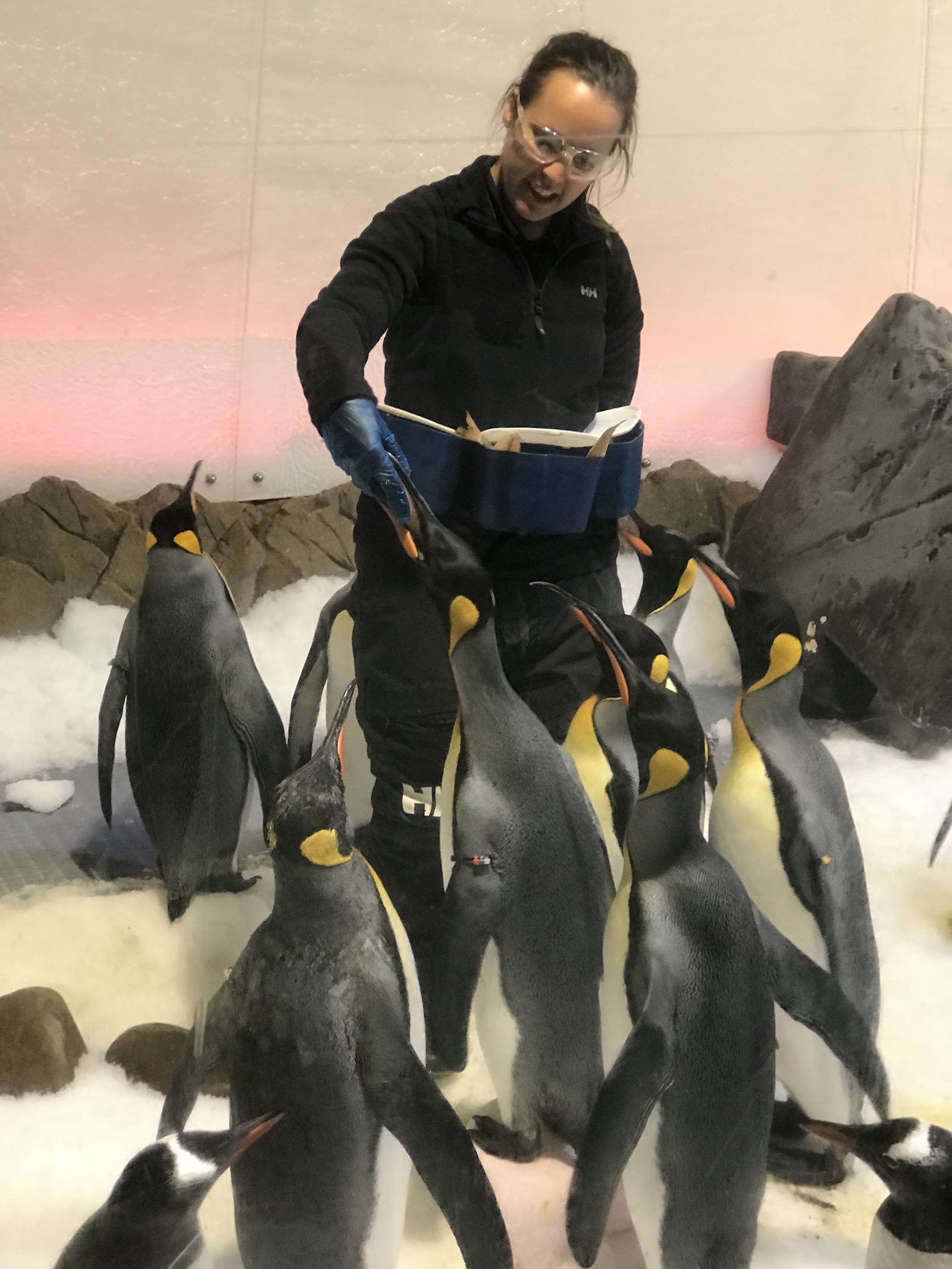 씨라이프 멜버른