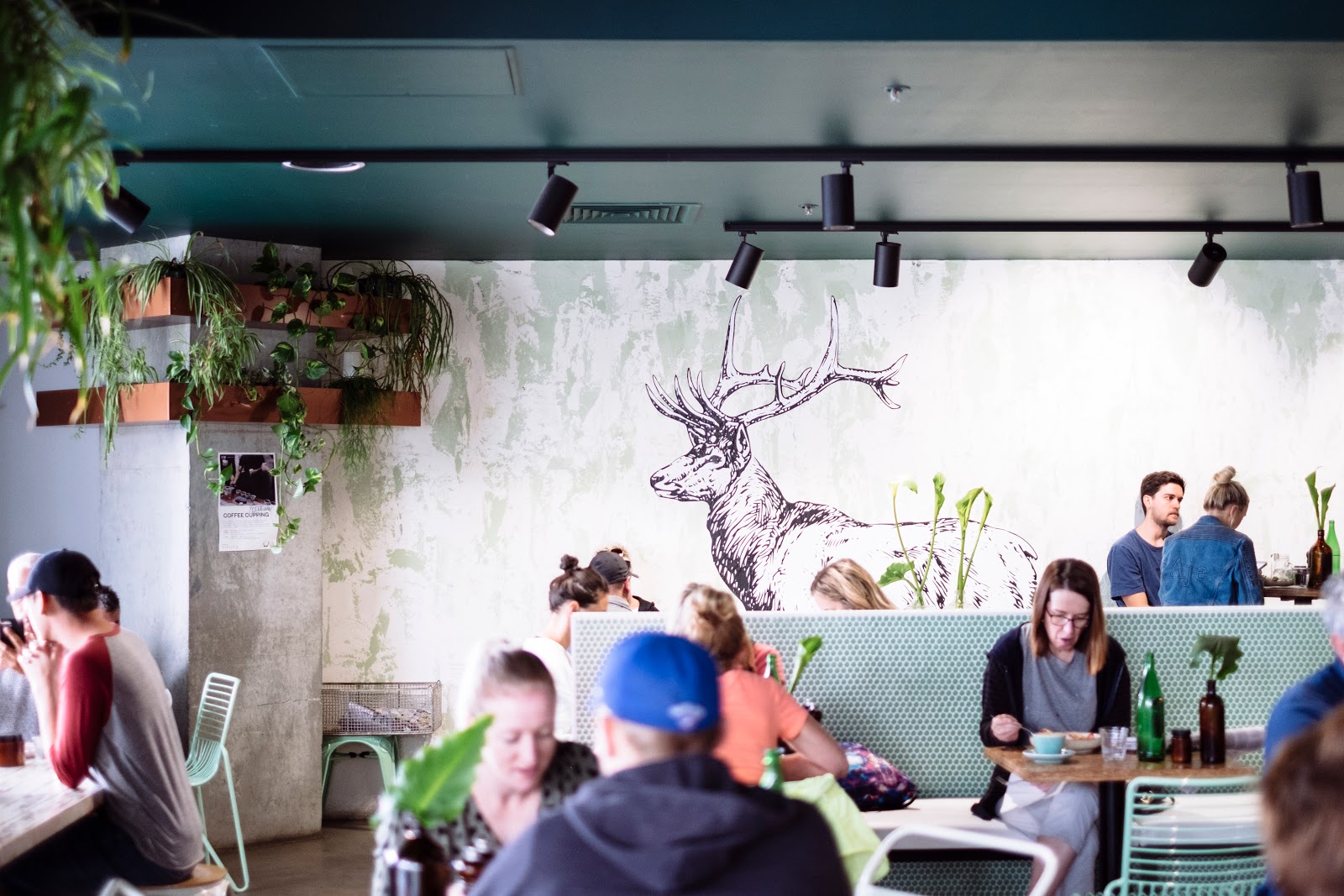 엘크 에스프레소