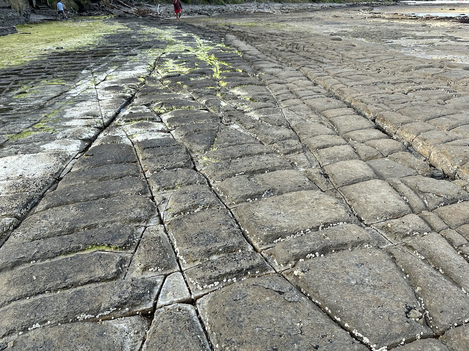 테셀레이티드 페이브먼트