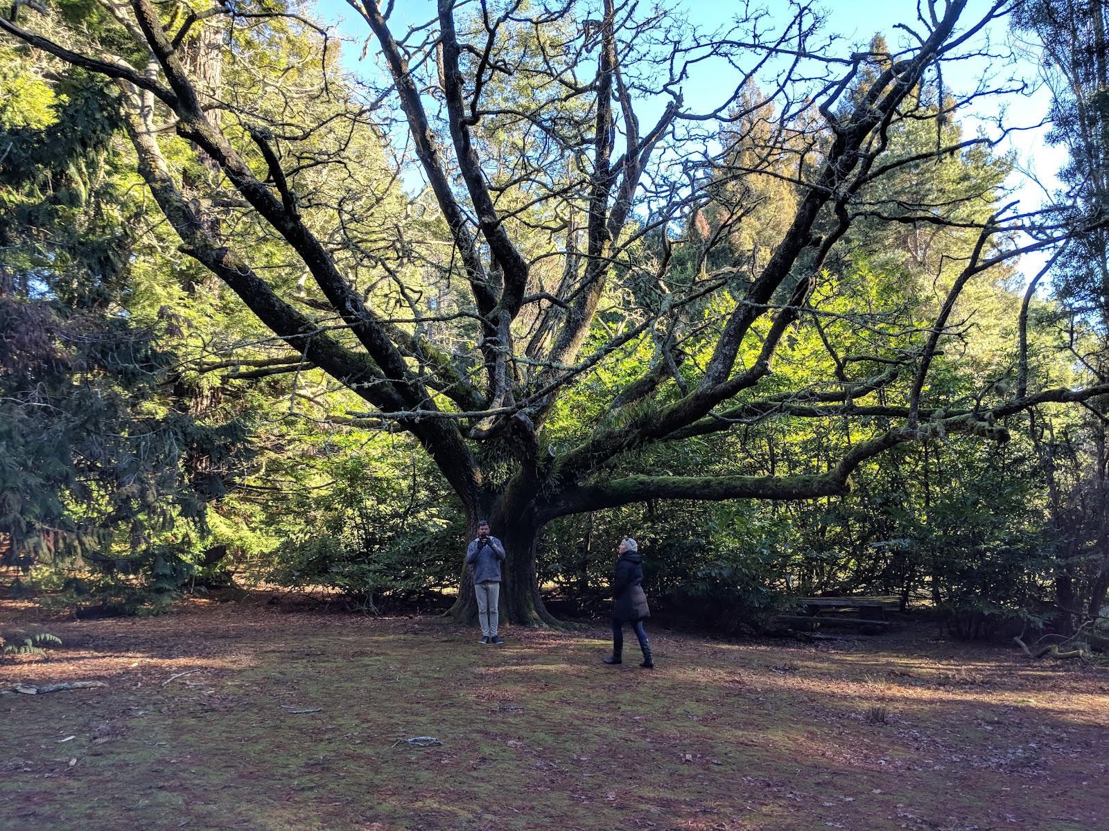 발룸 숲 산책로