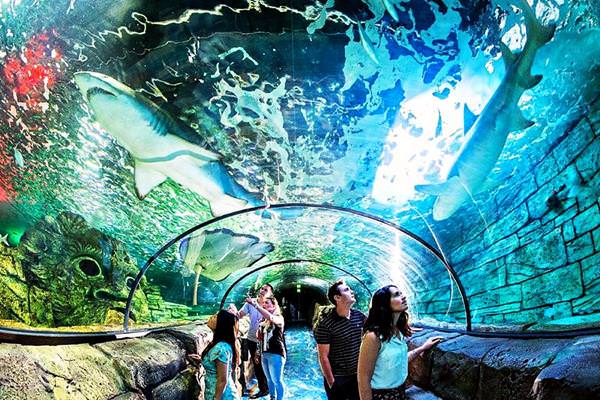 시드니 아쿠아리움