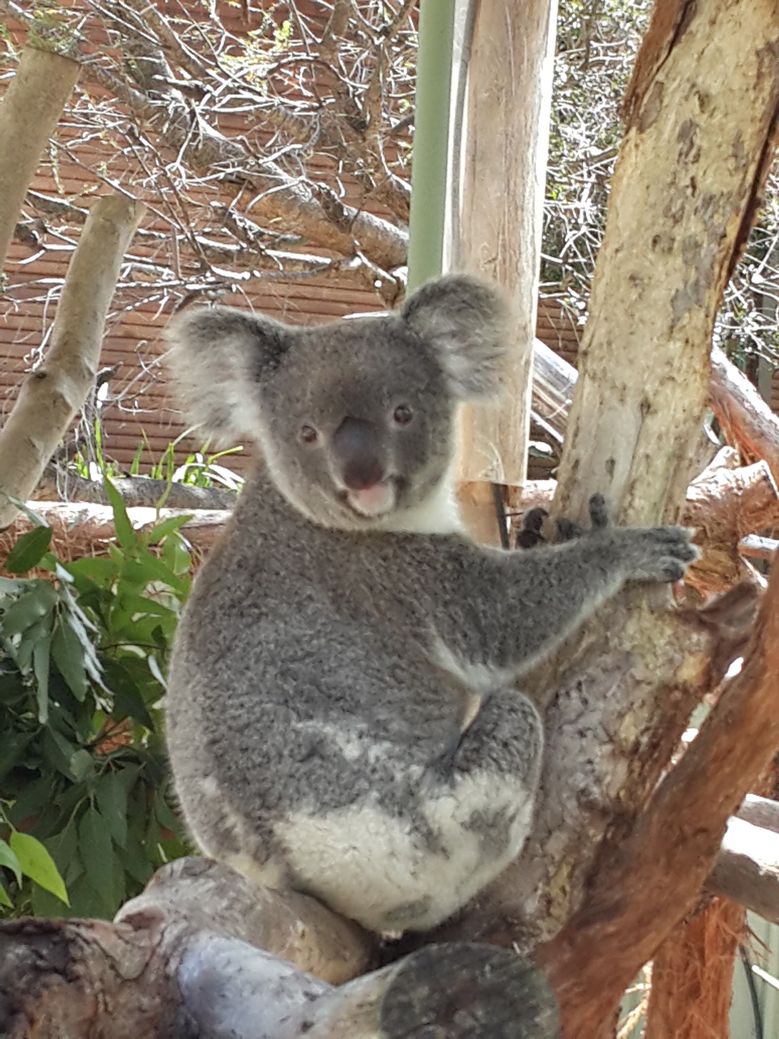와일드라이프 시드니