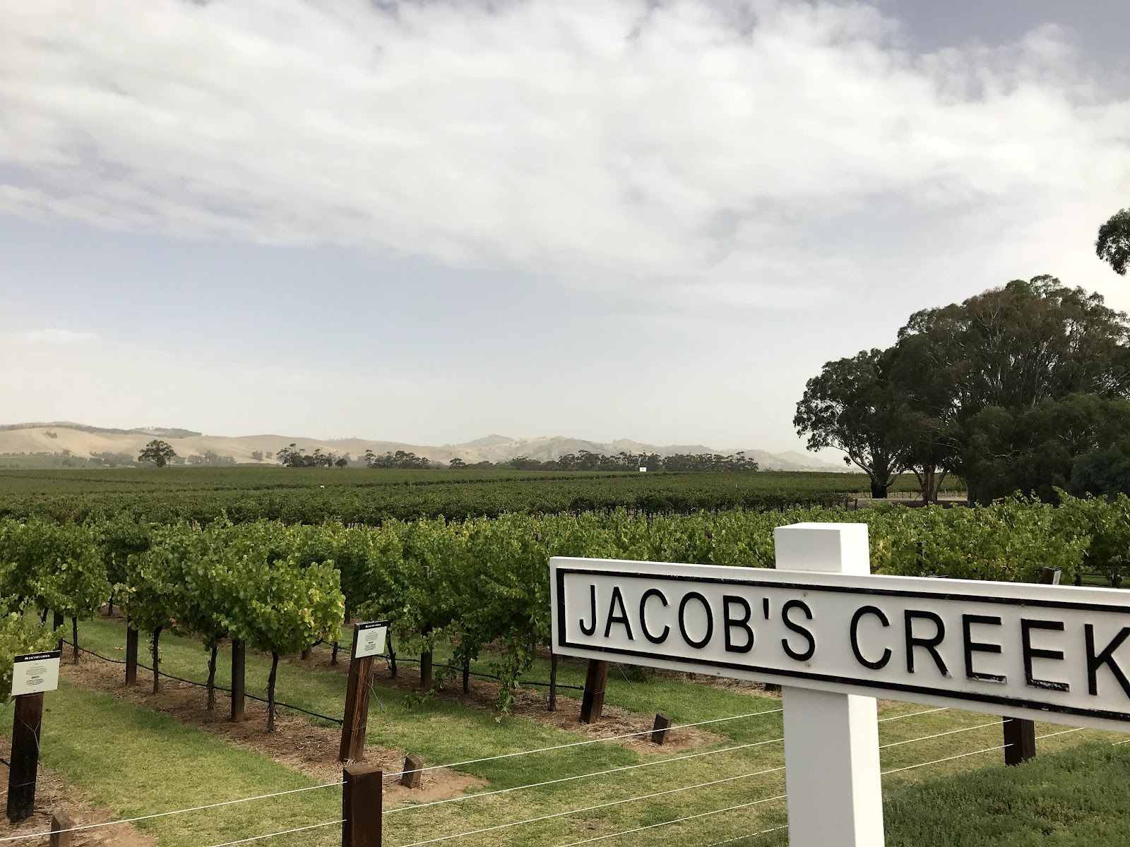 Jacob's Creek