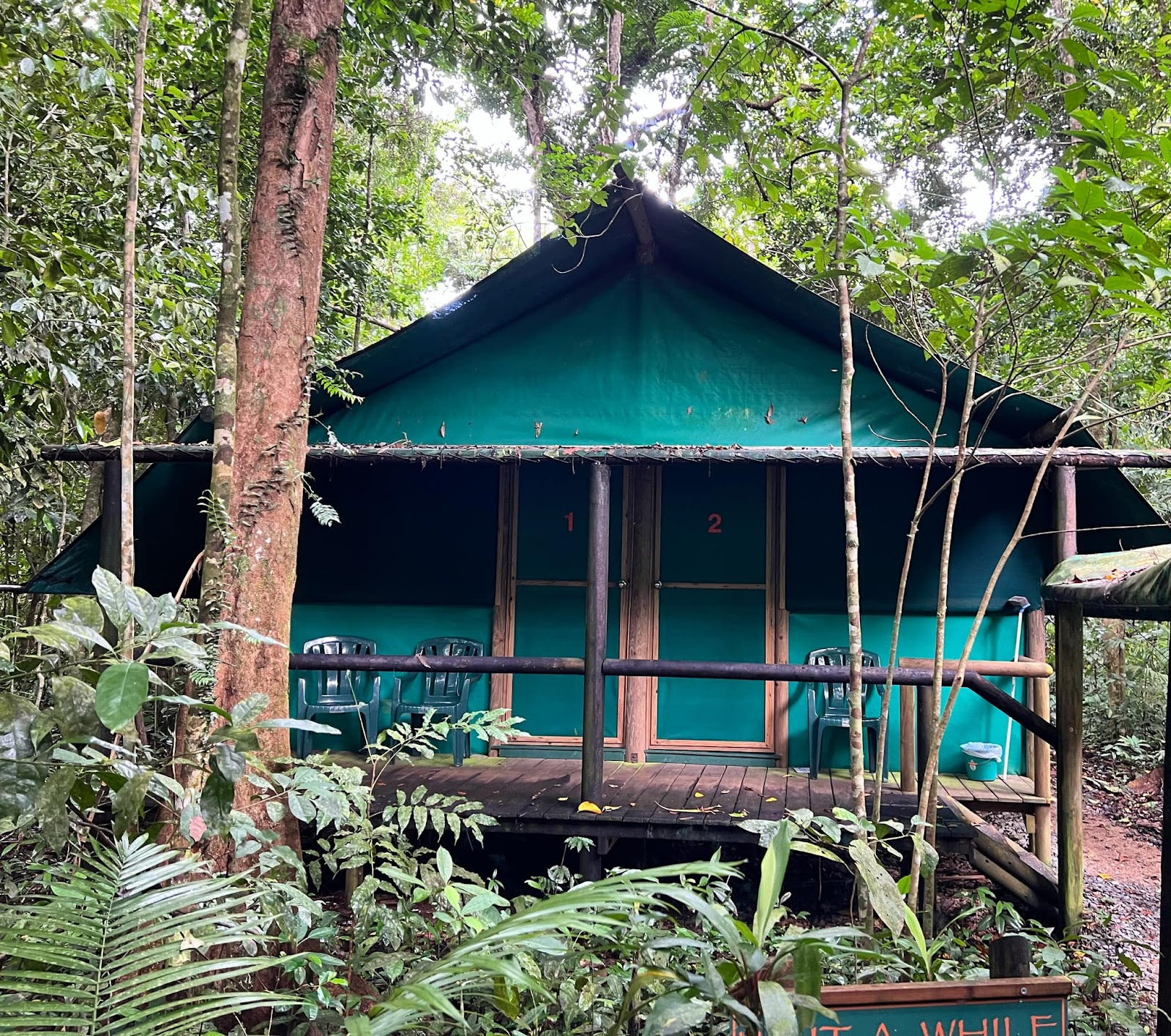 Crocodylus Cafe