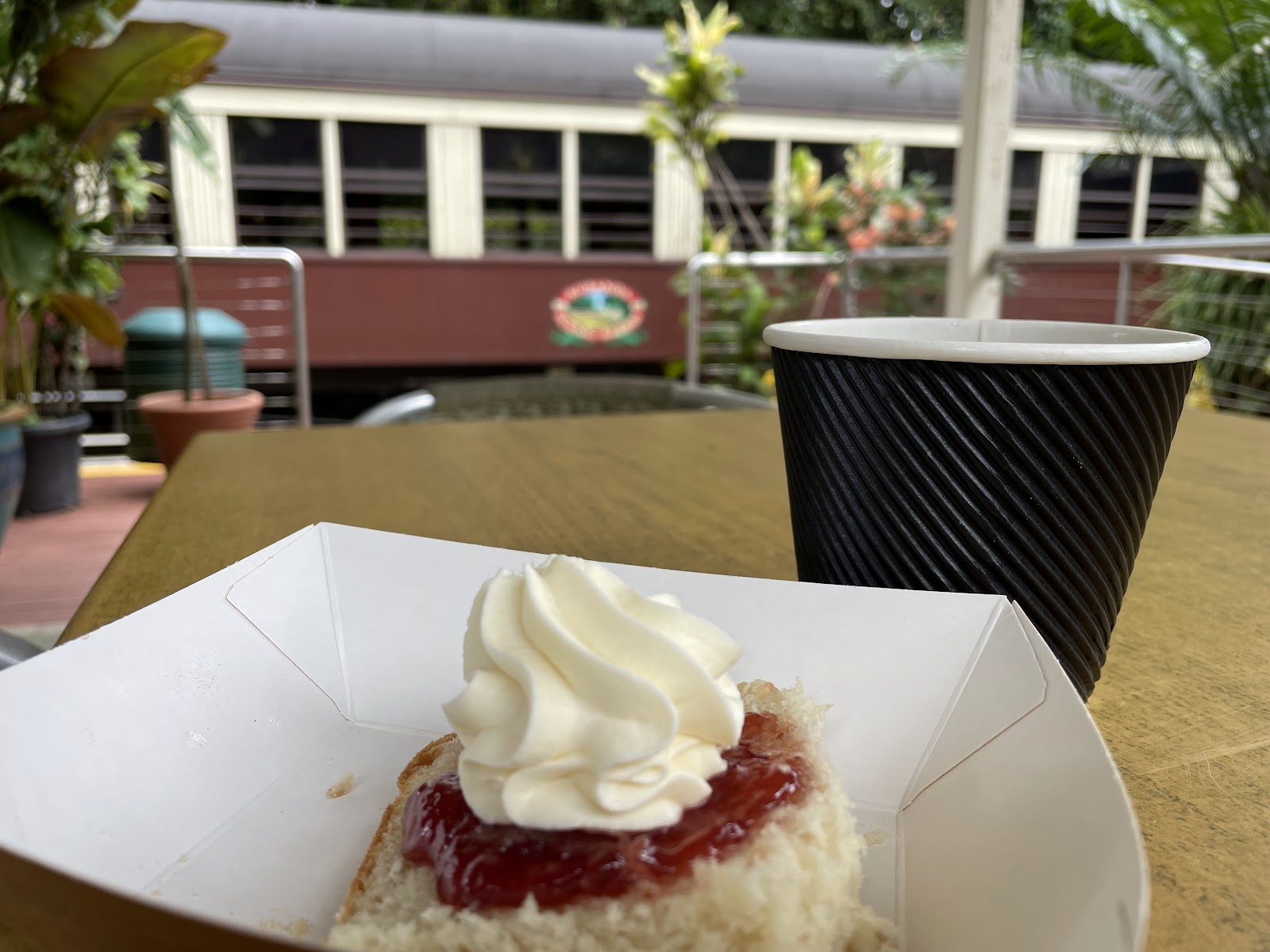 Kuranda Scenic Railway Tea Rooms