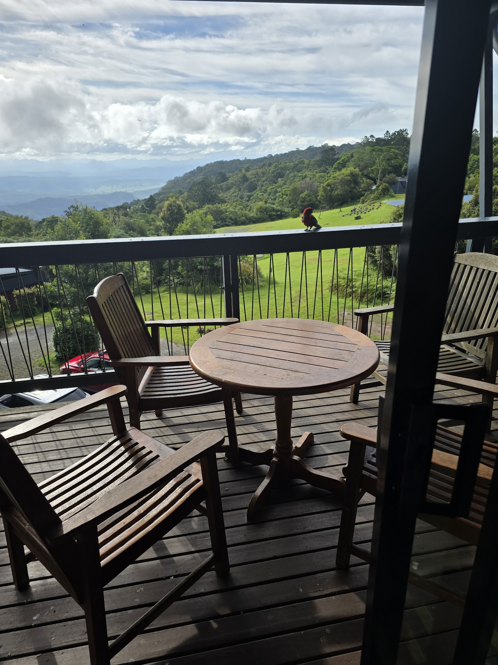 오라일리스 마운틴 카페 앤드 기프트 샵