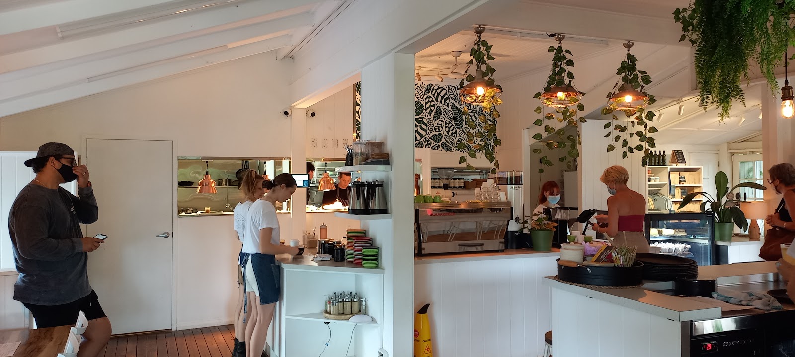 Tamborine Mountain Coffee Plantation