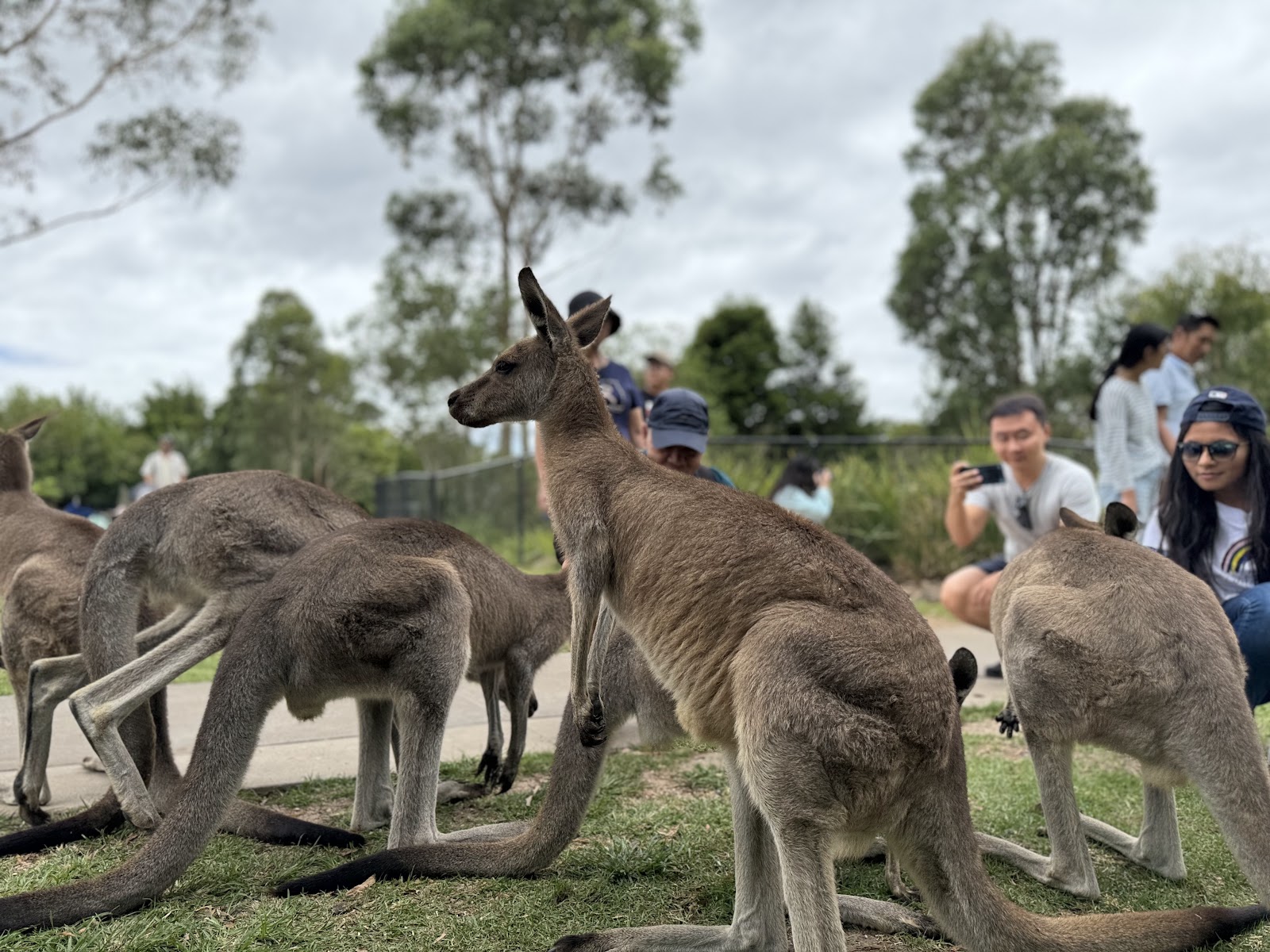 심비오 야생동물 공원