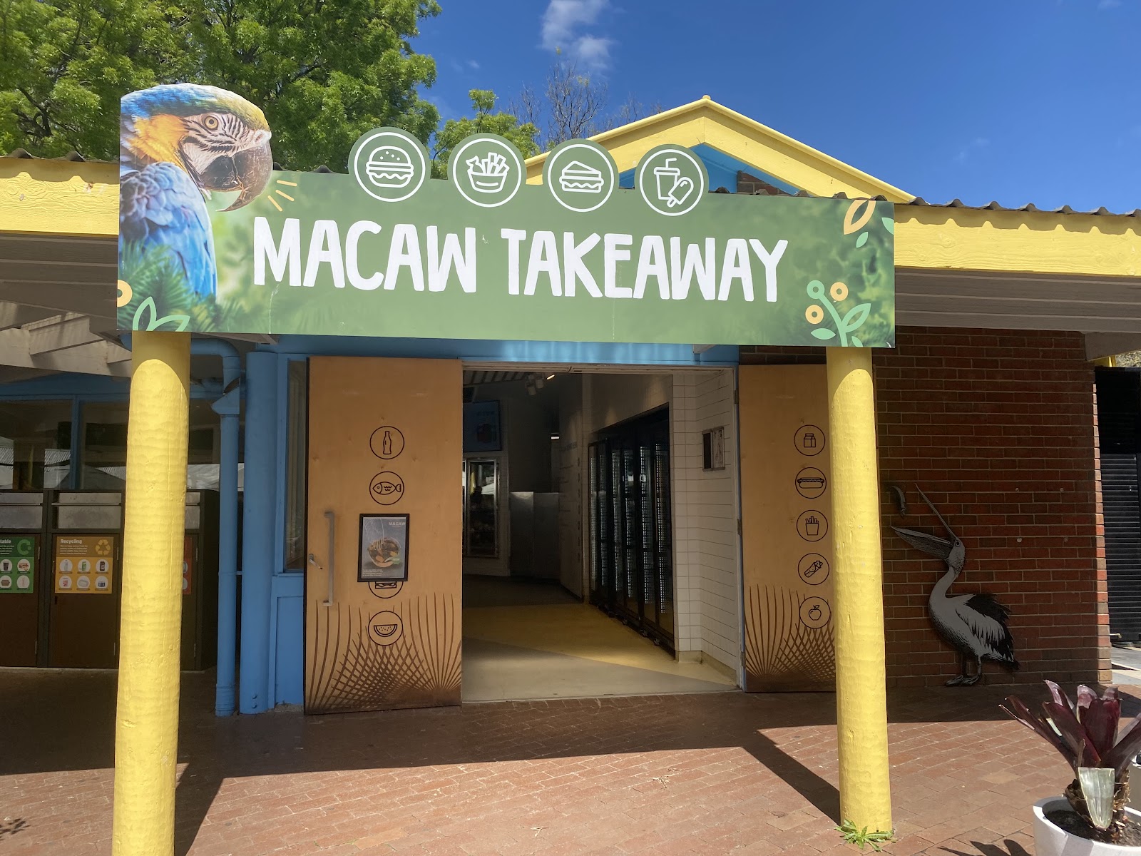 Macaw Takeaway