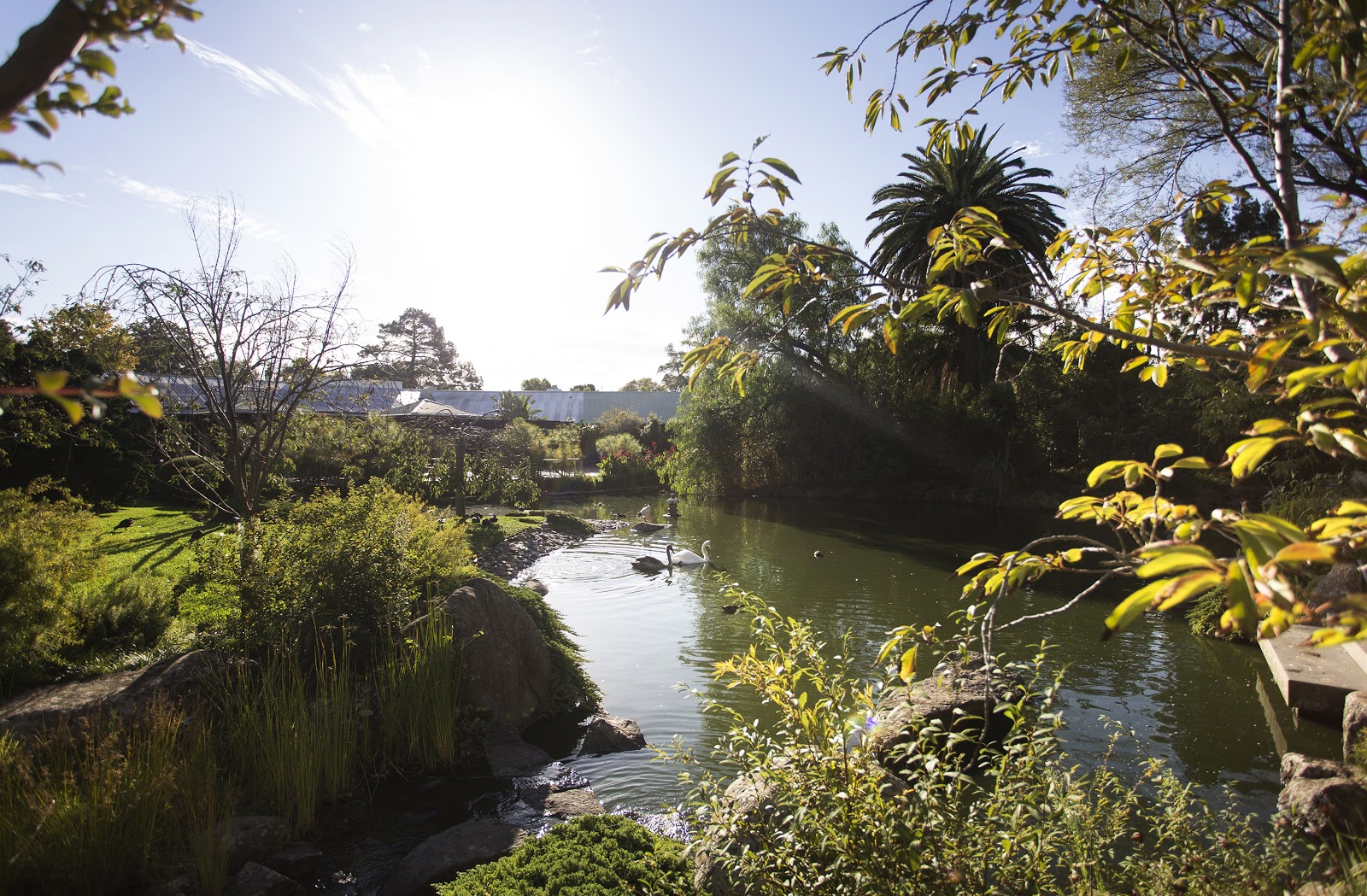 Lakeside Cafe