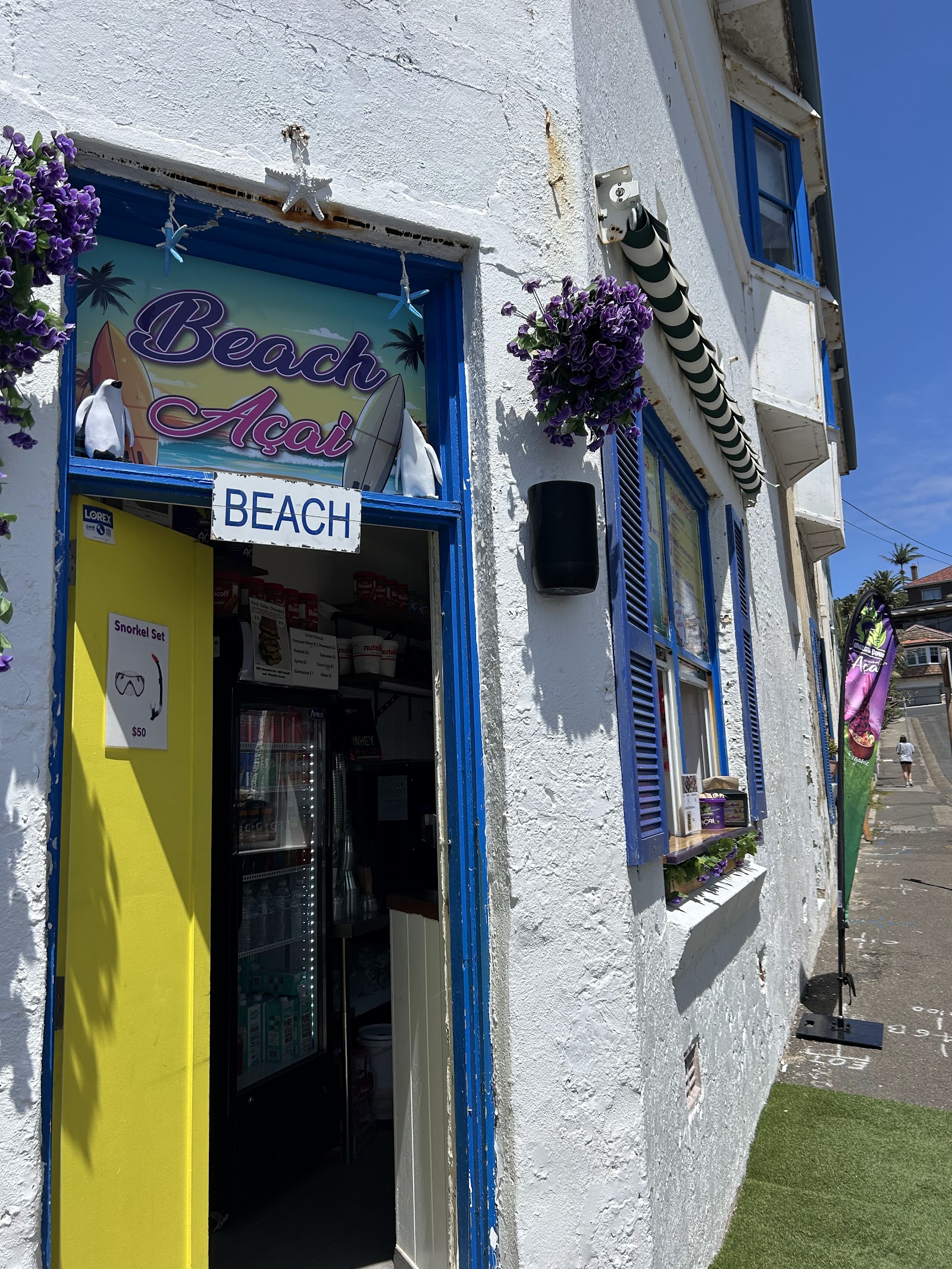 Beach Acai Shelly