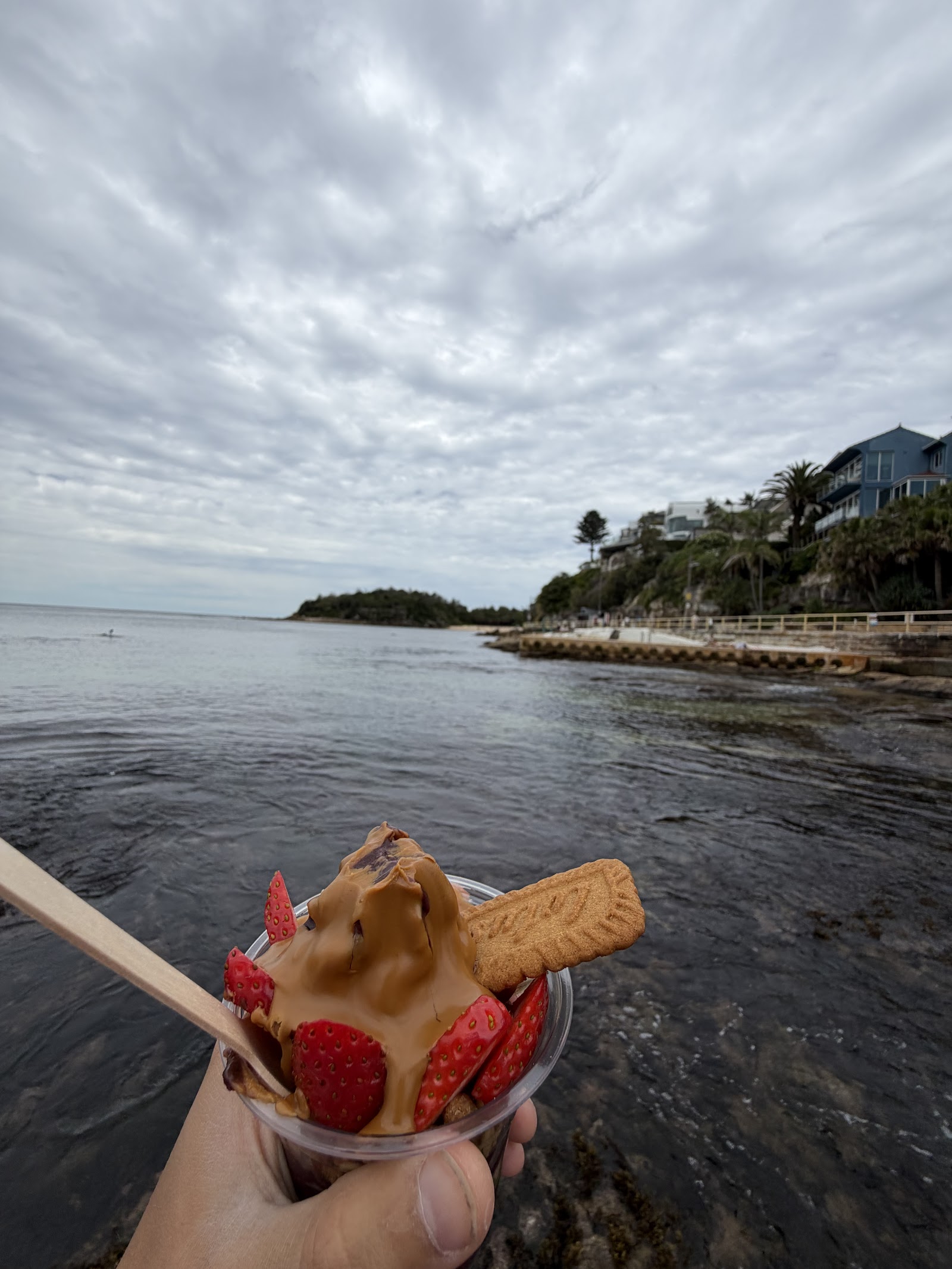 Beach Acai Shelly