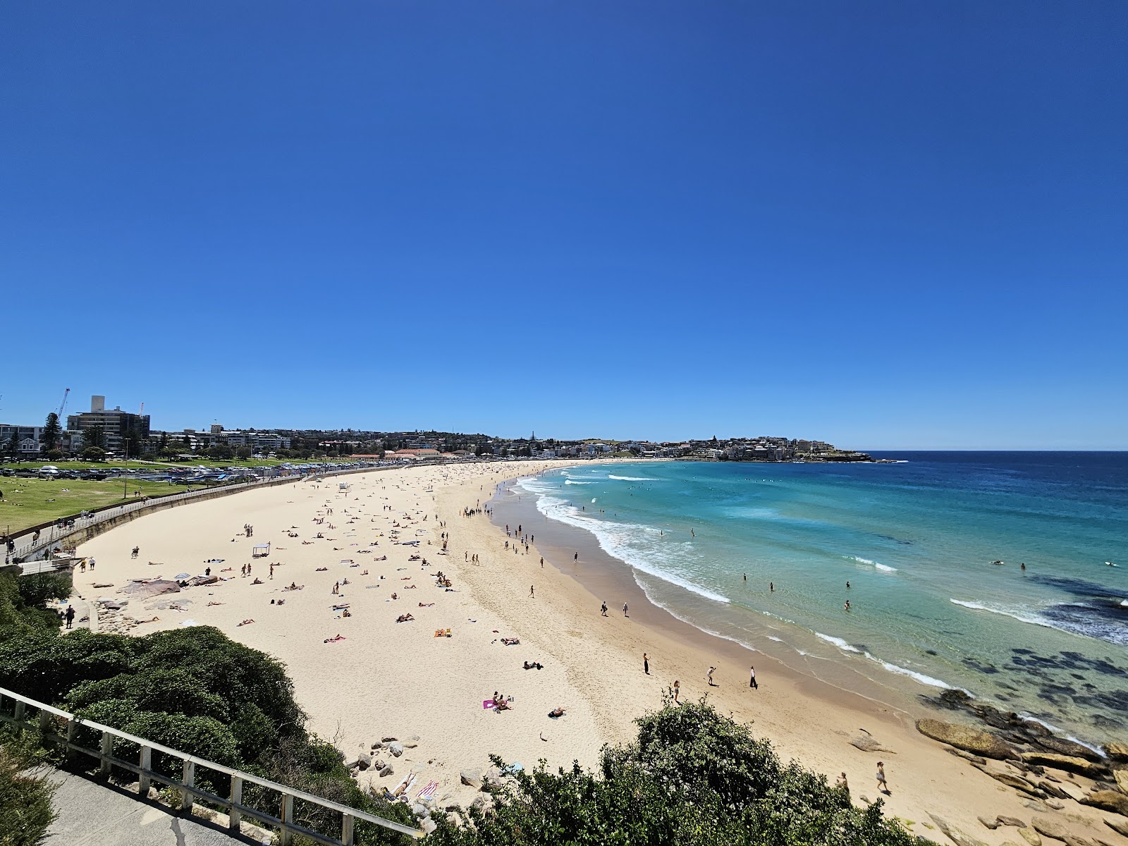 타롱가 동물원 입장권 + 페리