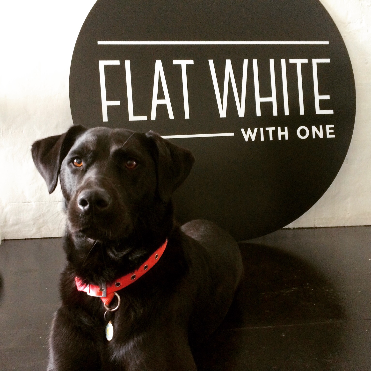 Flat White With One