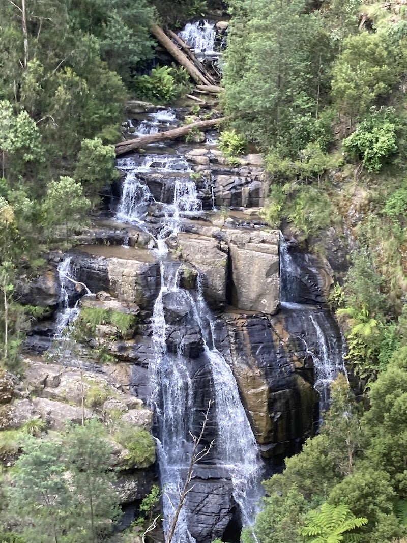 킹레이크 국립공원