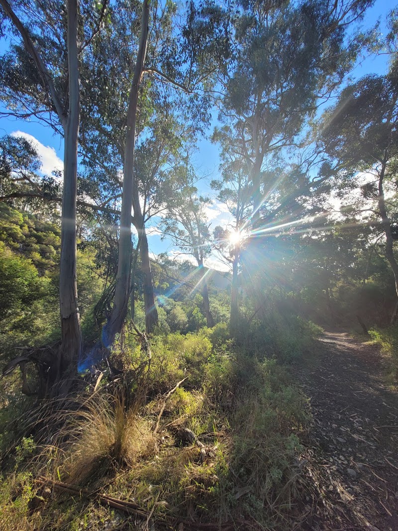 러더더그 주립공원