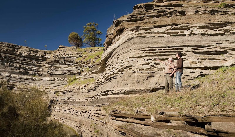 타워 힐 야생동물 보호구역