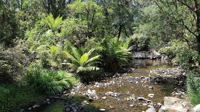 힐스빌 생태 동물원