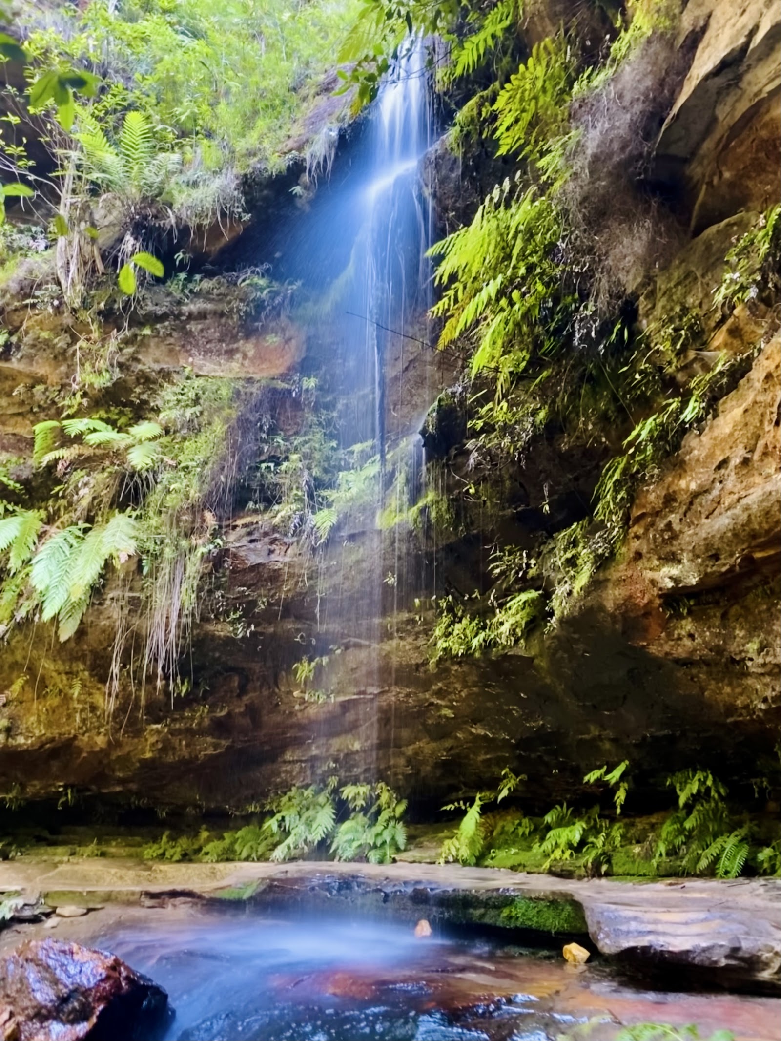 그랜드 캐년 트랙