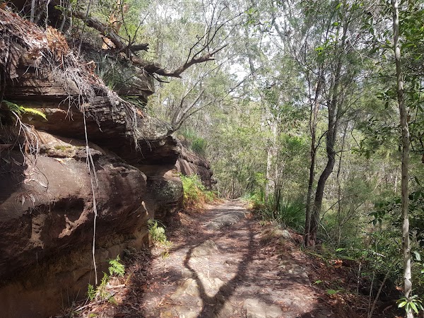 투 크릭스 트랙