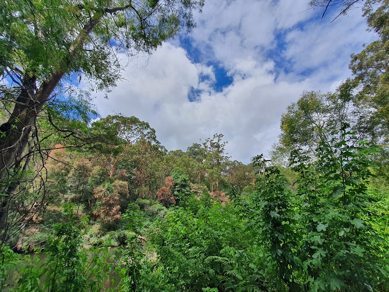 레인 코브 리버사이드 워크