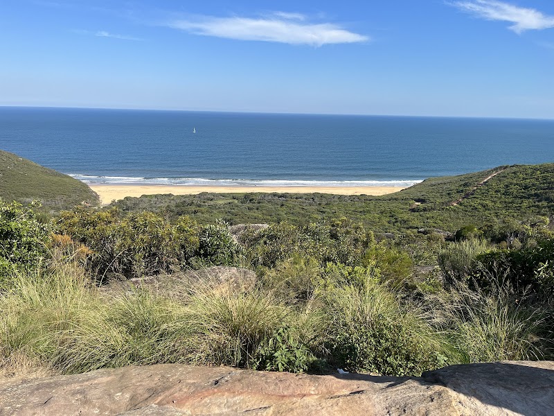 마운트 보우디 룩아웃