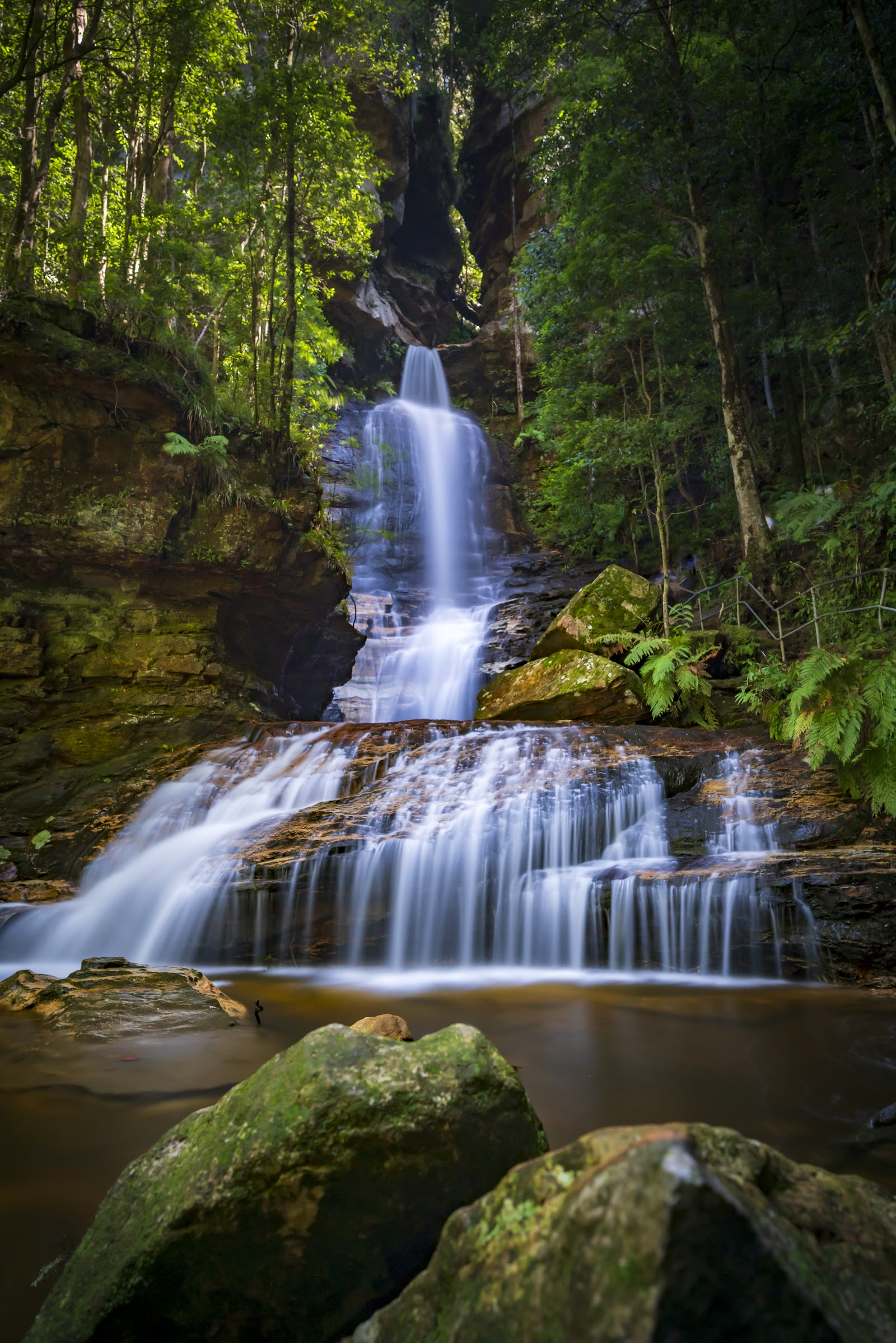 블루마운틴 일일 투어 (점심 포함)