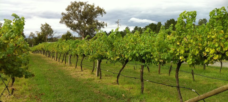 머럼베이트먼 와이너리