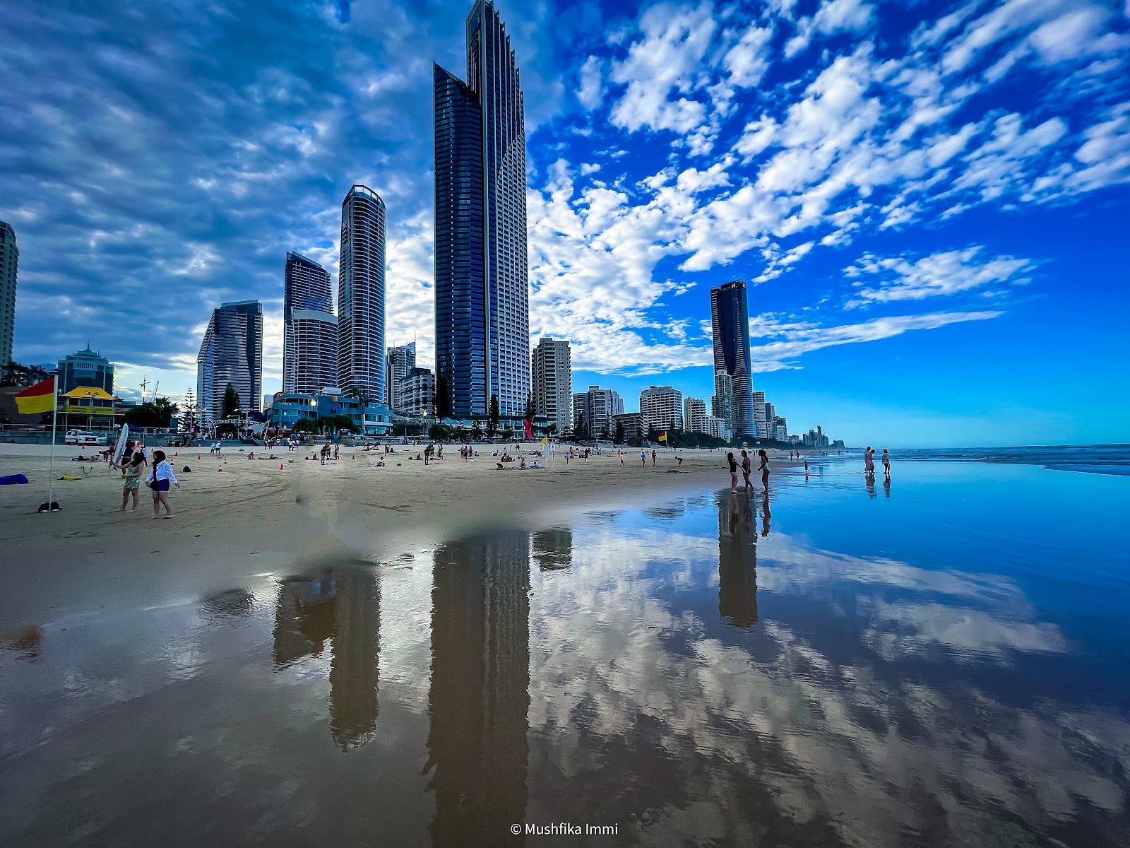 서퍼스 파라다이스