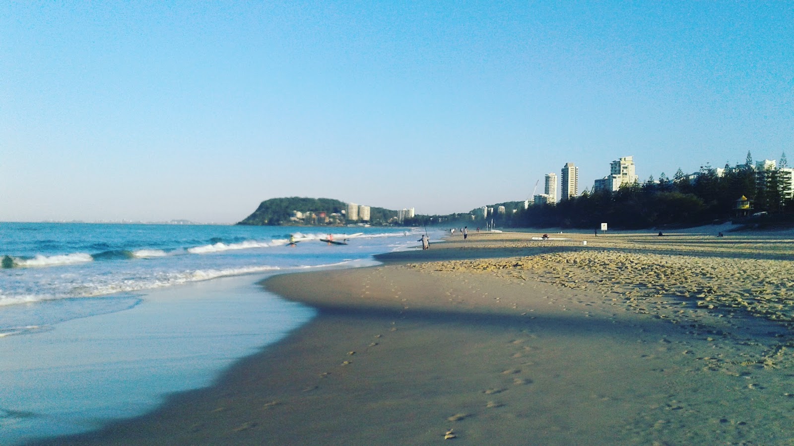 벌리 헤즈