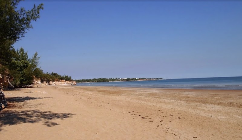 카수아리나 비치