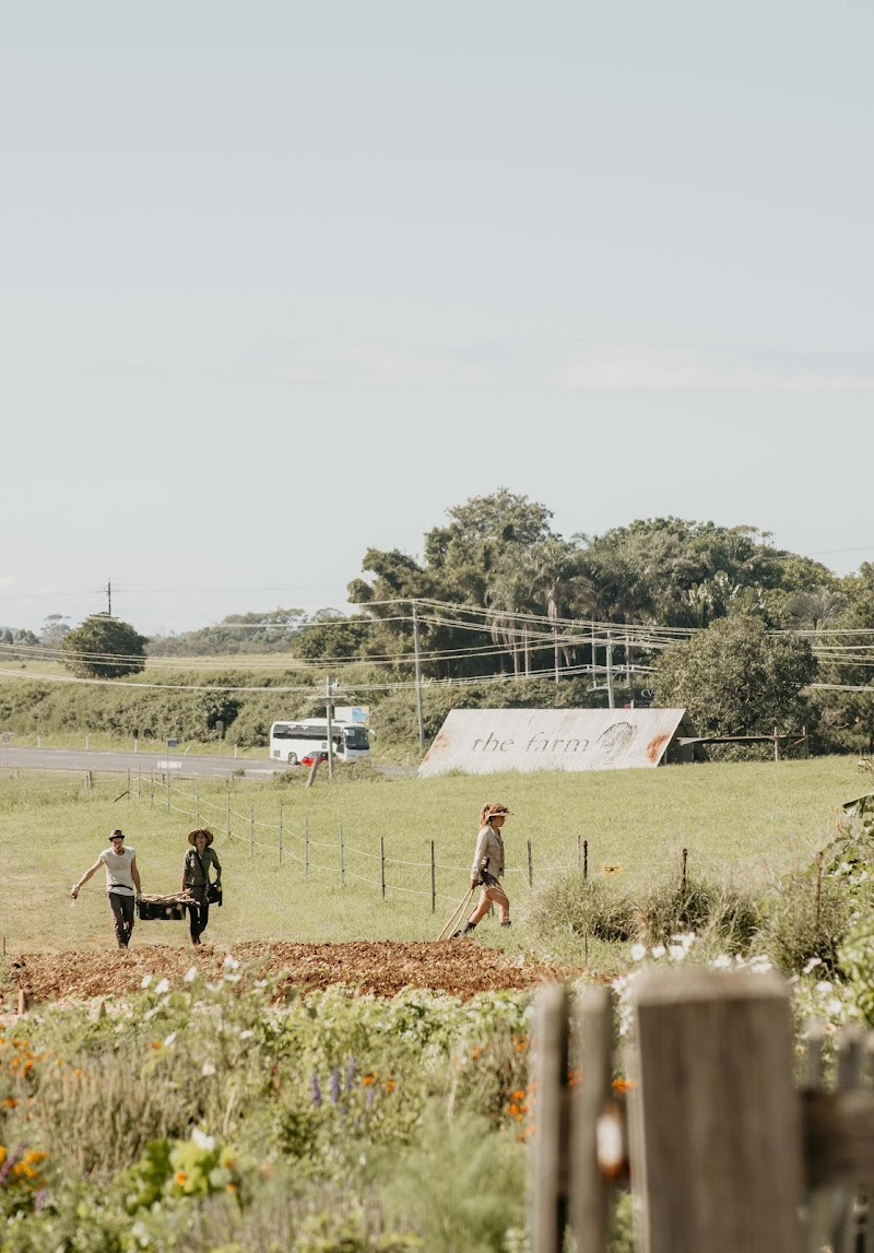 더 팜 바이런 베이