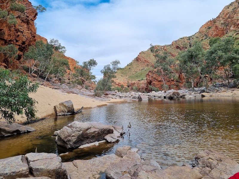 앨리스 스프링스