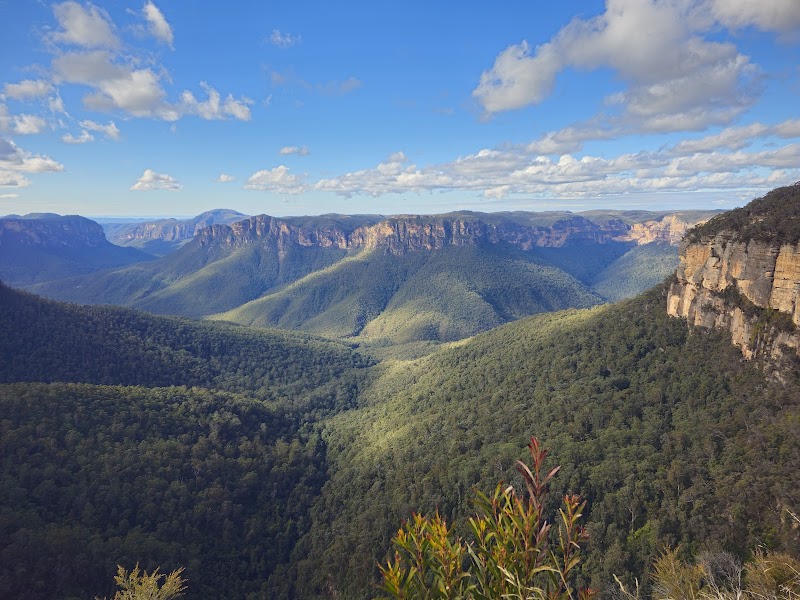 Blue Mountains 국립 파크